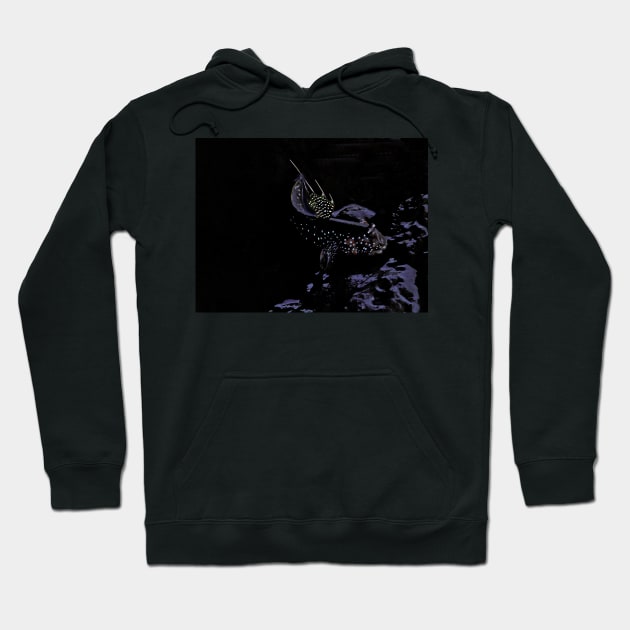 MUD SIGNALS Hoodie by dumbodancer